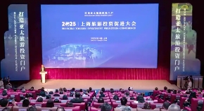 關于印發(fā)《金山區(qū)文旅產(chǎn)業(yè)2025年招商和服務一體化工作方案》的通知